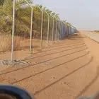 تركيب شبوك