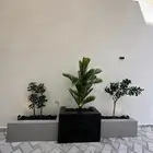 فني تصميم وتنسيق الحدائق المنزلية