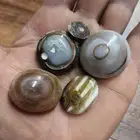 احجار طبيعيه سليماني هندي وعطف بحري اصلي