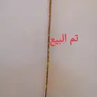 عصا شوحط ( تم البيع )