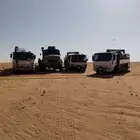 دينا ونش لي نقل الابل والبضائع والمكاين