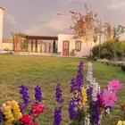 يوجد صيانية وتشغيل يوجد تيل طبيعي يوجد نخل