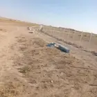 السلام عليكم ورحمه الله وبركاته نجوم بتركيب جميع اعمال الشبو