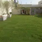 تيل طبيعي مزرعه عشب طبيعي