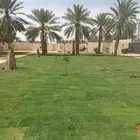 ثيل طبيعي سي 2000