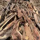 يوجد دينا وسياره شرط طيب وحاجه تجمال