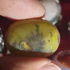 مشجر و مصور بافوري هندي