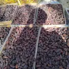 يوجد لدينا عمال صرام ومنقي بلكرتون