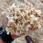 نشاره خشب الدجاج