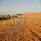 تركيب شبوك القصيم