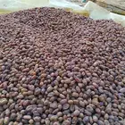 يوجد لدينا عمال صرام ومنقي بلكرتون