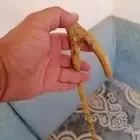 مشعاب شوحط نحيف ( تم البيع )