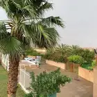 استراحة بالعماريه للايجار مكونه من قسمين رجال ونساء