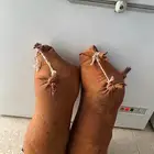 حليب بقر طازج من مزارعنا