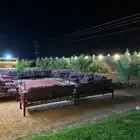 منتجع سهم بالقاعد للايجار