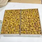 للبيع تمر سكري مفتل
