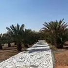 للبيع مزرعة