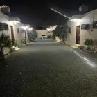 للإيجار شقق عزاب في المحالة