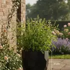 مراكن وأحواض زراعيه