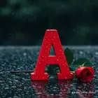 مطلوب شقه او فله مرهونه