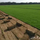 تنسيق الحدائق المنزليه