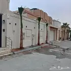 ابوناصر لتوريد جميع انواع النخيل العربي وواشنطن