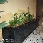 تنسيق حدائق