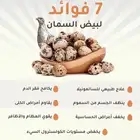 نوفر بيض سمان