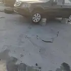 كابرس 2011