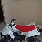 دباب رام حجم 100 توماتيك