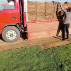 يوجد جميع انواع الاشجار والنباتات يوجد تيل طبيعي يوجد صيانية