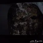 مين يقولي وش هي