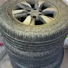جنوط شنجان هنتر