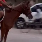 مزادهجر للخيل
