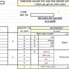 نظام Excel احترافي لإدارة رواتب الموظفين والمصاريف اليومية