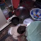 ديكورات داخليه باعلي مستوي وباعلي جوده