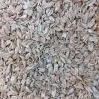 عود طيب للبيت