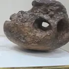 حجر صوان شكل جمجمه