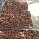 تمر خلاص طيب الكميه 700 كرتون موز