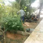 نقوم بانشاء المزارع من الصفر