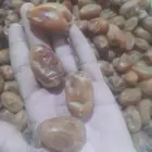 خلاص اشيقر