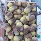 خراف شيشي طيب حبه كبير