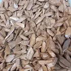 عود مروكي طيب مني سوبر