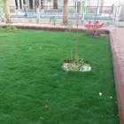 ثيل طبيعي وشبكات ري