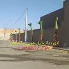 ابوسامي لتوريدالنخيل عربي واشنطني بجميع المقاسات