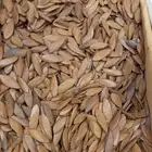 عود مروكي تصفيه بسعر طيب