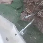 دواشق اسفنج ملبس جلد ومغسله جداريه مع الخلاط
