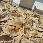 خبز ناشف نظيف مكسر الوزن 12كيلو السعر 10ريال