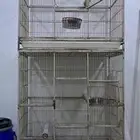 قفص طيور مميز