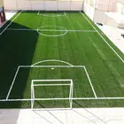 عشب صناي